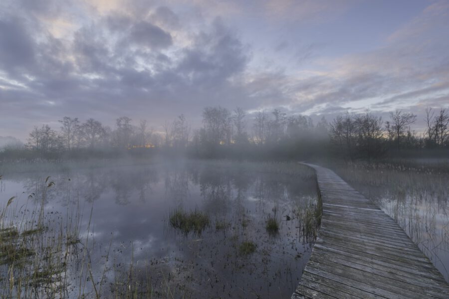 Mysterieuze ochtend