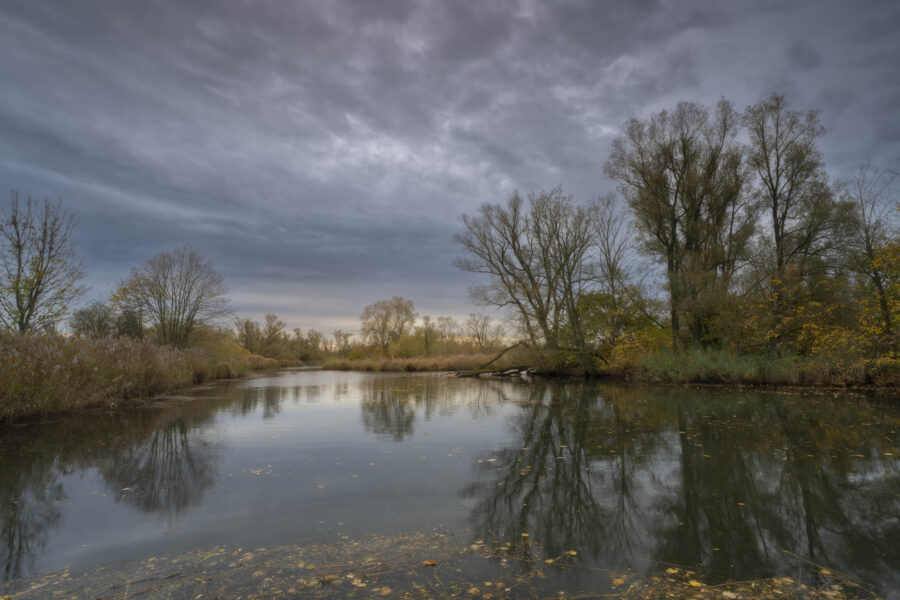 Deze foto is gemaakt in de Biesbosch nabij Werkendam (Noord-Brabant, Nederland). Voordat de regen kwam, wilde ik toch eerst nog een rondje Biesbosch doen om te zien of er ergens nog herfstkleuren te vinden waren. De herfst is, wat betreft de kleuren, zo goed als voorbij. Toch leverde deze locatie nog een mooie kleurenpalet op.