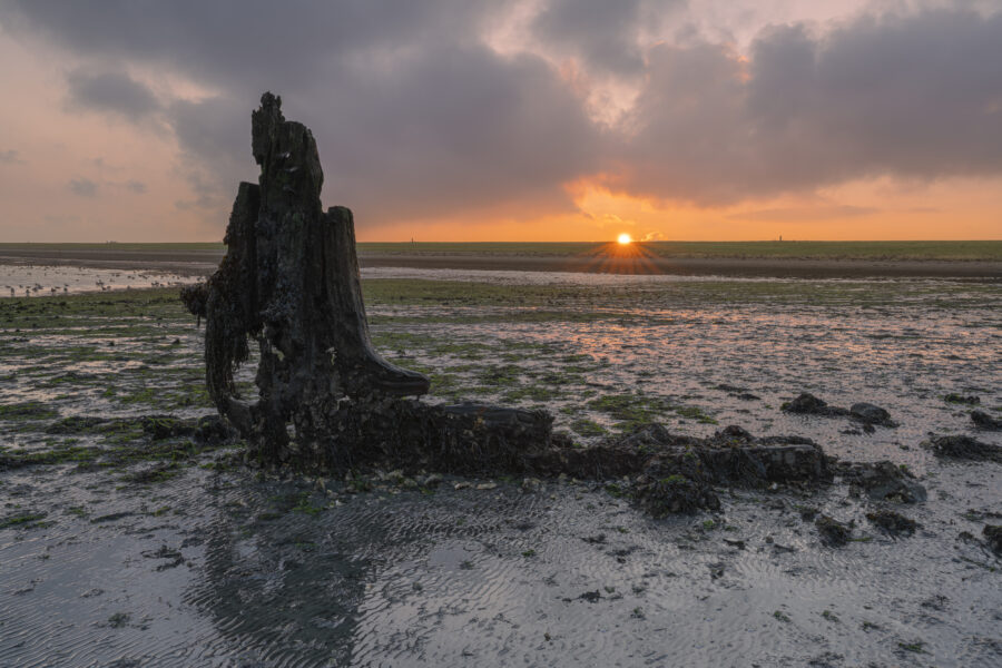 Deze foto is gemaakt bij Wilhelminadorp (Zeeland, Nederland). Tijdens eb wordt dit wrak in het Veerse meer zichtbaar. Bij aankomst was het flink bewolkt, maar tijdens zonsopkomst trok de lucht gelukkig open. Een mooi licht verspreidde zich over het gebied.