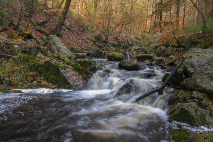 Deze foto is gemaakt bij Promenade de la Hoëgne (Jalhay, België). Een schitterend gebied, met stromend riviertje, keien, bomen en zeker in de herfst een schitterend plaatje. De kleuren zorgen voor een fijne herfstgevoel. Het riviertje stroomt langs allerlei 'wegen' naar beneden. Een schitterende plek voor landschapsfotografie