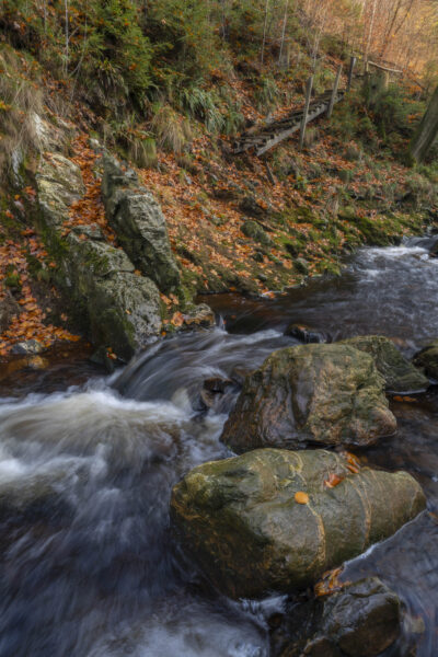 Deze foto is gemaakt bij Promenade de la Hoëgne (Jalhay, België). Een schitterend gebied, met stromend riviertje, keien, bomen en zeker in de herfst een schitterend plaatje. De kleuren zorgen voor een fijne herfstgevoel. Het riviertje stroomt langs allerlei 'wegen' naar beneden. Een schitterende plek voor landschapsfotografie