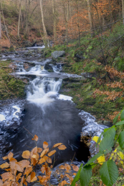 Deze foto is gemaakt bij Promenade de la Hoëgne (Jalhay, België). Een schitterend gebied, met stromend riviertje, keien, bomen en zeker in de herfst een schitterend plaatje. De kleuren zorgen voor een fijne herfstgevoel. Het riviertje stroomt langs allerlei 'wegen' naar beneden. Een schitterende plek voor landschapsfotografie