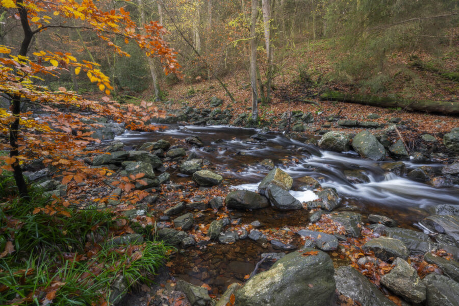 Deze foto is gemaakt bij Promenade de la Hoëgne (Jalhay, België). Een schitterend gebied, met stromend riviertje, keien, bomen en zeker in de herfst een schitterend plaatje. De kleuren zorgen voor een fijne herfstgevoel. Het riviertje stroomt langs allerlei 'wegen' naar beneden. Een schitterende plek voor landschapsfotografie