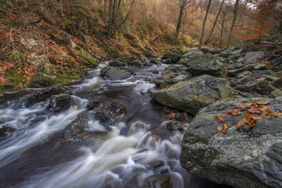 Deze foto is gemaakt bij Promenade de la Hoëgne (Jalhay, België). Een schitterend gebied, met stromend riviertje, keien, bomen en zeker in de herfst een schitterend plaatje. De kleuren zorgen voor een fijne herfstgevoel. Het riviertje stroomt langs allerlei 'wegen' naar beneden. Een schitterende plek voor landschapsfotografie
