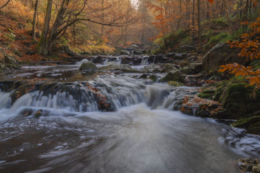 Deze foto is gemaakt bij Promenade de la Hoëgne (Jalhay, België). Een schitterend gebied, met stromend riviertje, keien, bomen en zeker in de herfst een schitterend plaatje. De kleuren zorgen voor een fijne herfstgevoel. Het riviertje stroomt langs allerlei 'wegen' naar beneden. Een schitterende plek voor landschapsfotografieDeze foto is gemaakt bij Promenade de la Hoëgne (Jalhay, België). Een schitterend gebied, met stromend riviertje, keien, bomen en zeker in de herfst een schitterend plaatje. De kleuren zorgen voor een fijne herfstgevoel. Het riviertje stroomt langs allerlei 'wegen' naar beneden. Een schitterende plek voor landschapsfotografie