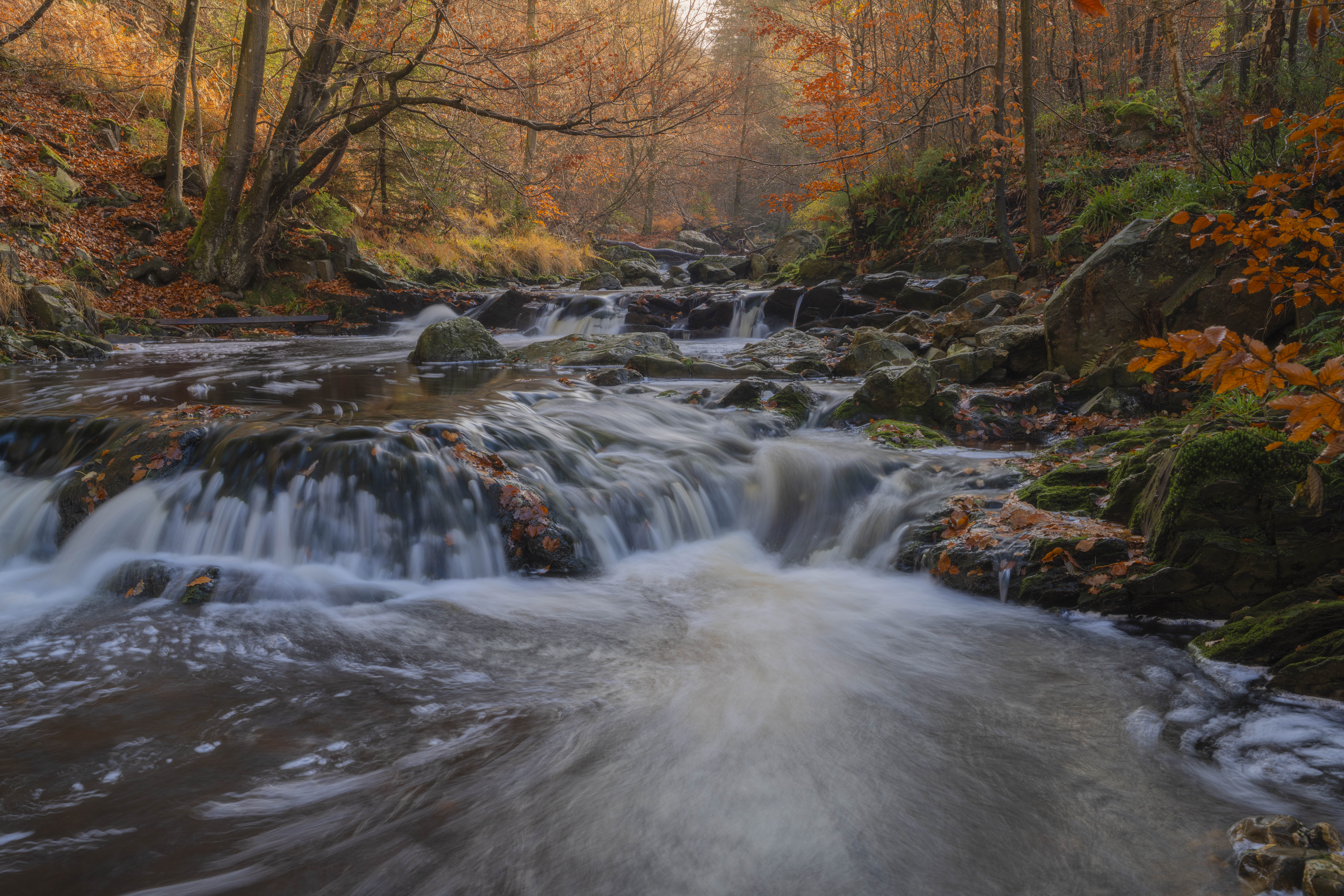 Deze foto is gemaakt bij Promenade de la Hoëgne (Jalhay, België). Een schitterend gebied, met stromend riviertje, keien, bomen en zeker in de herfst een schitterend plaatje. De kleuren zorgen voor een fijne herfstgevoel. Het riviertje stroomt langs allerlei 'wegen' naar beneden. Een schitterende plek voor landschapsfotografieDeze foto is gemaakt bij Promenade de la Hoëgne (Jalhay, België). Een schitterend gebied, met stromend riviertje, keien, bomen en zeker in de herfst een schitterend plaatje. De kleuren zorgen voor een fijne herfstgevoel. Het riviertje stroomt langs allerlei 'wegen' naar beneden. Een schitterende plek voor landschapsfotografie