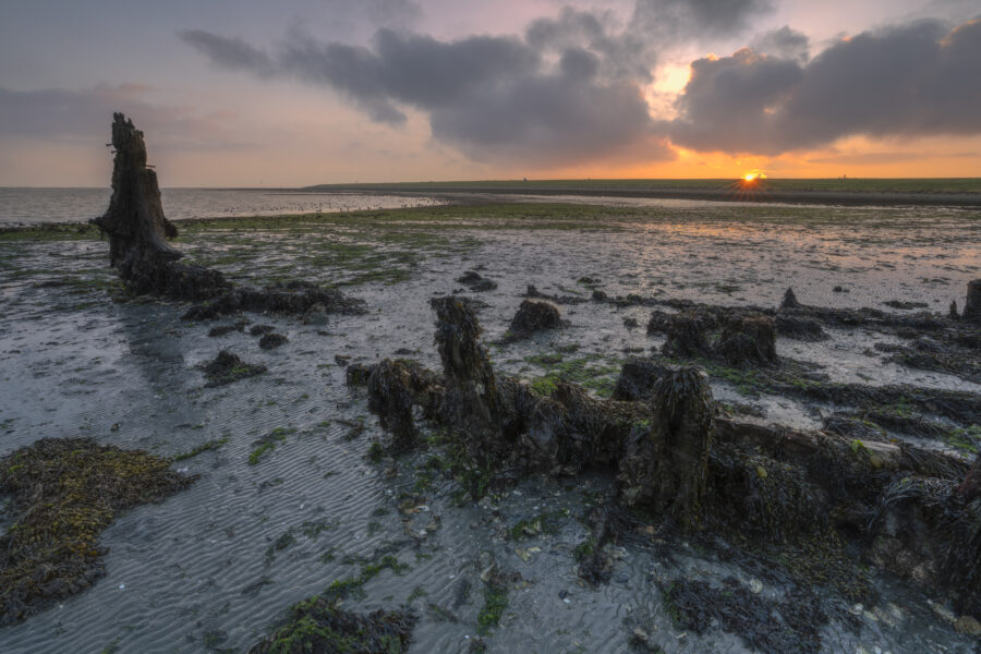 Deze foto is gemaakt bij Wilhelminadorp (Zeeland, Nederland). Tijdens eb wordt dit wrak in het Veerse meer zichtbaar. Bij aankomst was het flink bewolkt, maar tijdens zonsopkomst trok de lucht gelukkig open. Een mooi licht verspreidde zich over het gebied.