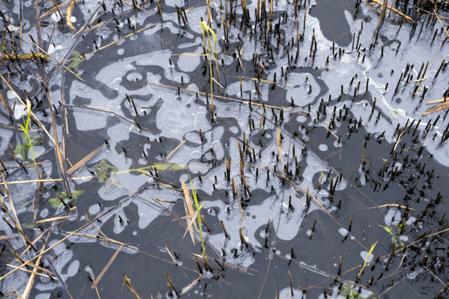 Een detailopname van een stuk natuurijs. Afgesneden riet stak boven het ijsoppervlak en vormde een mooie onderbreking van de ijsstructuren.
