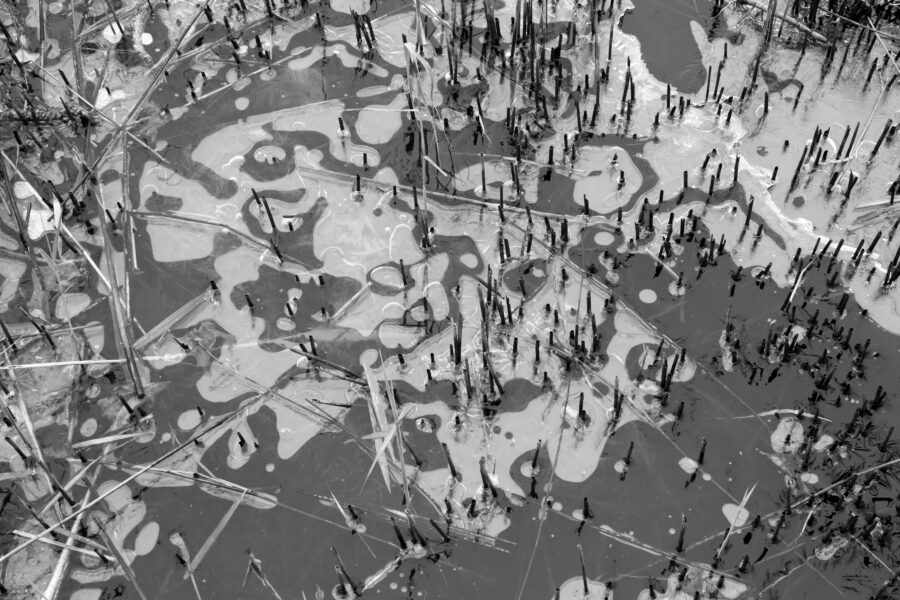 Een detailopname van een stuk natuurijs. Afgesneden riet stak boven het ijsoppervlak en vormde een mooie onderbreking van de ijsstructuren. Nu in het zwart-wit