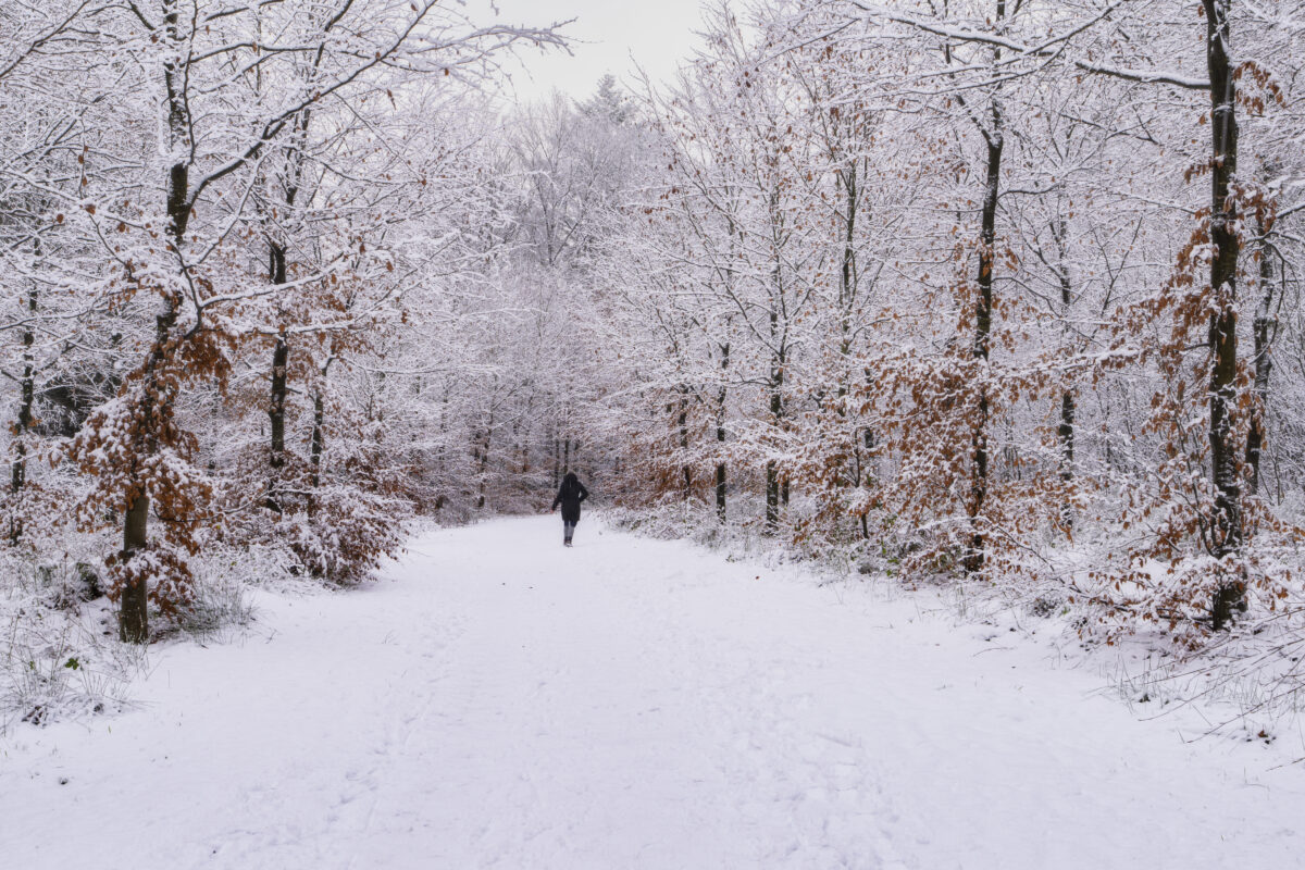Deze foto is gemaakt bij Prattenburg nabij Veenendaal (Utrecht, Nederland). Een mooie boslaan, besneeuwd door de vele sneeuwbuien gaf een mooie sfeer. Een eenzame wandelaar die het pad doorkruist. Een schitterende morgen zo!