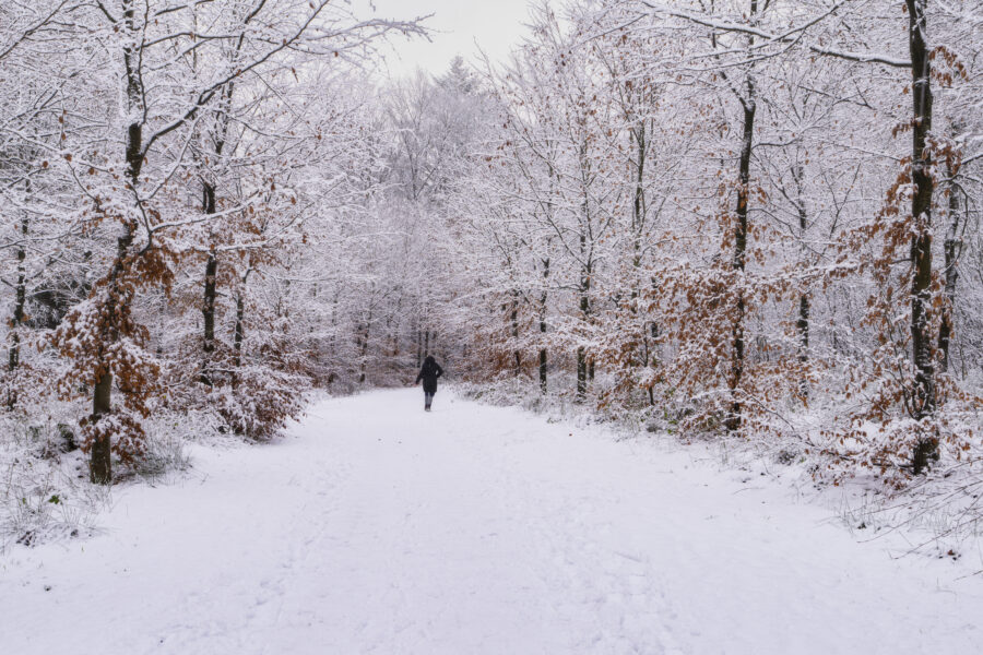 Deze foto is gemaakt bij Prattenburg nabij Veenendaal (Utrecht, Nederland). Een mooie boslaan, besneeuwd door de vele sneeuwbuien gaf een mooie sfeer. Een eenzame wandelaar die het pad doorkruist. Een schitterende morgen zo!