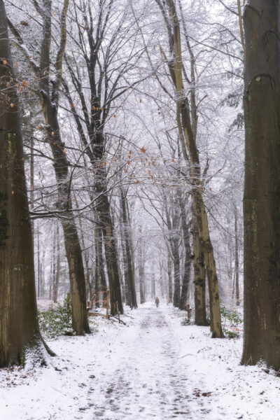 Deze foto is gemaakt bij Prattenburg nabij Veenendaal (Utrecht, Nederland). Een mooie boslaan, besneeuwd door de vele sneeuwbuien gaf een mooie sfeer. Een eenzame wandelaar die het pad doorkruist. Een schitterende morgen zo!
