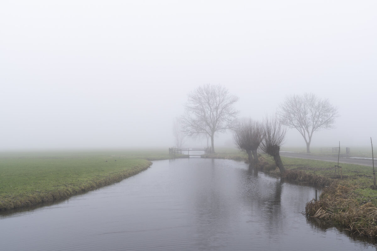 Mistige omstandigheden van vanmiddag. In korte tijd kwam er dichte mist opzetten. Dit zorgt gelijk voor heen heel andere wereld.