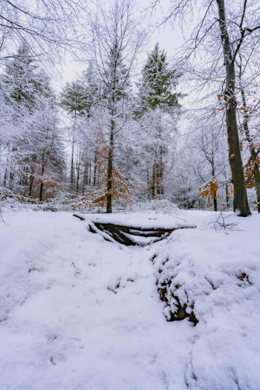 Deze foto is gemaakt bij Prattenburg nabij Veenendaal (Utrecht, Nederland). Een mooie boslaan, besneeuwd door de vele sneeuwbuien gaf een mooie sfeer. Een schitterende morgen zo!