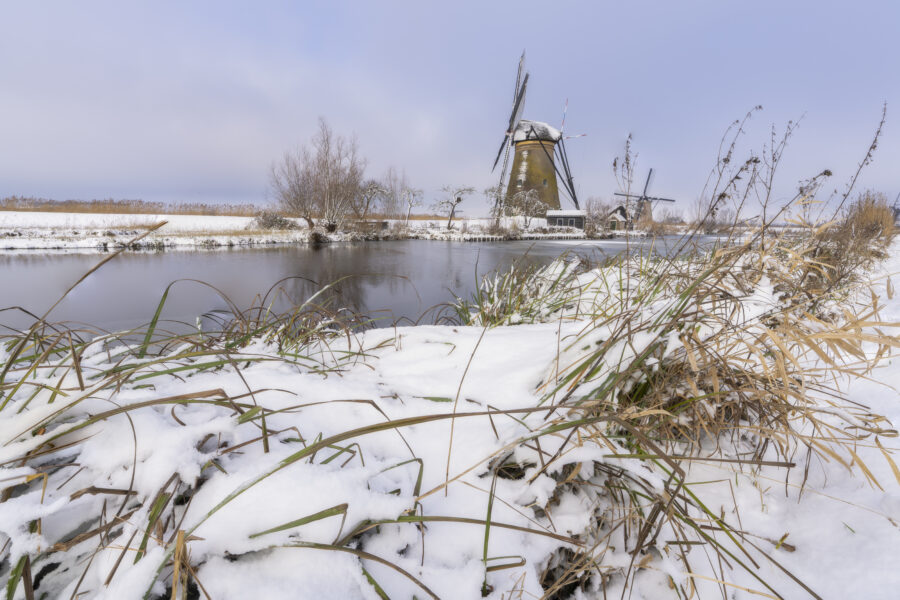 Deze foto is gemaakt tijdens schitterende omstandigheden bij de Kinderdijkse Molens (Zuid-Holland, Nederland). Door flinke sneeuwval lag er een aanzienlijke hoeveelheid sneeuw. Dusdanig veelm dat het riet omboog. Heerlijke omstandigheden voor landschapsfotografie