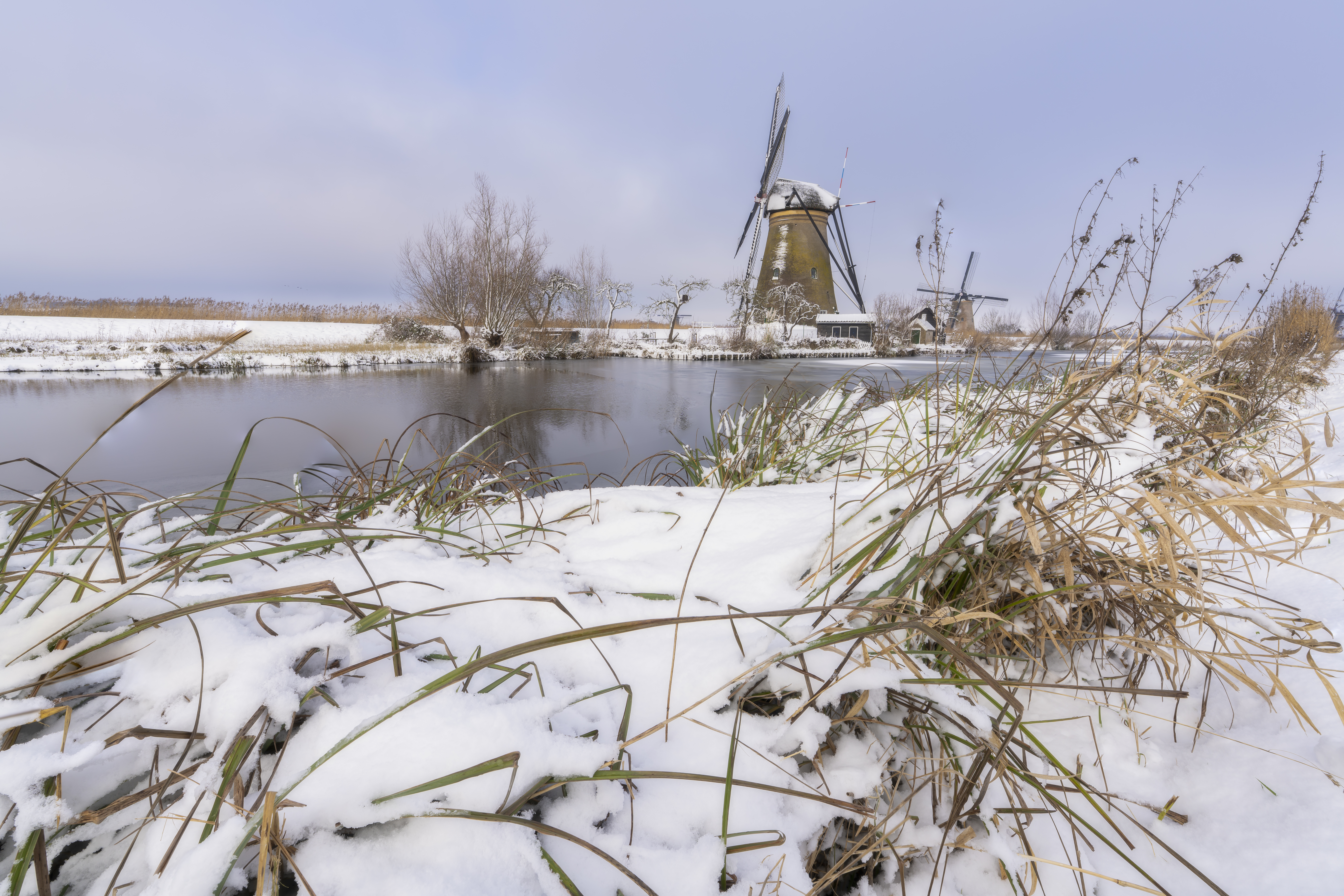 Deze foto is gemaakt tijdens schitterende omstandigheden bij de Kinderdijkse Molens (Zuid-Holland, Nederland). Door flinke sneeuwval lag er een aanzienlijke hoeveelheid sneeuw. Dusdanig veelm dat het riet omboog. Heerlijke omstandigheden voor landschapsfotografie
