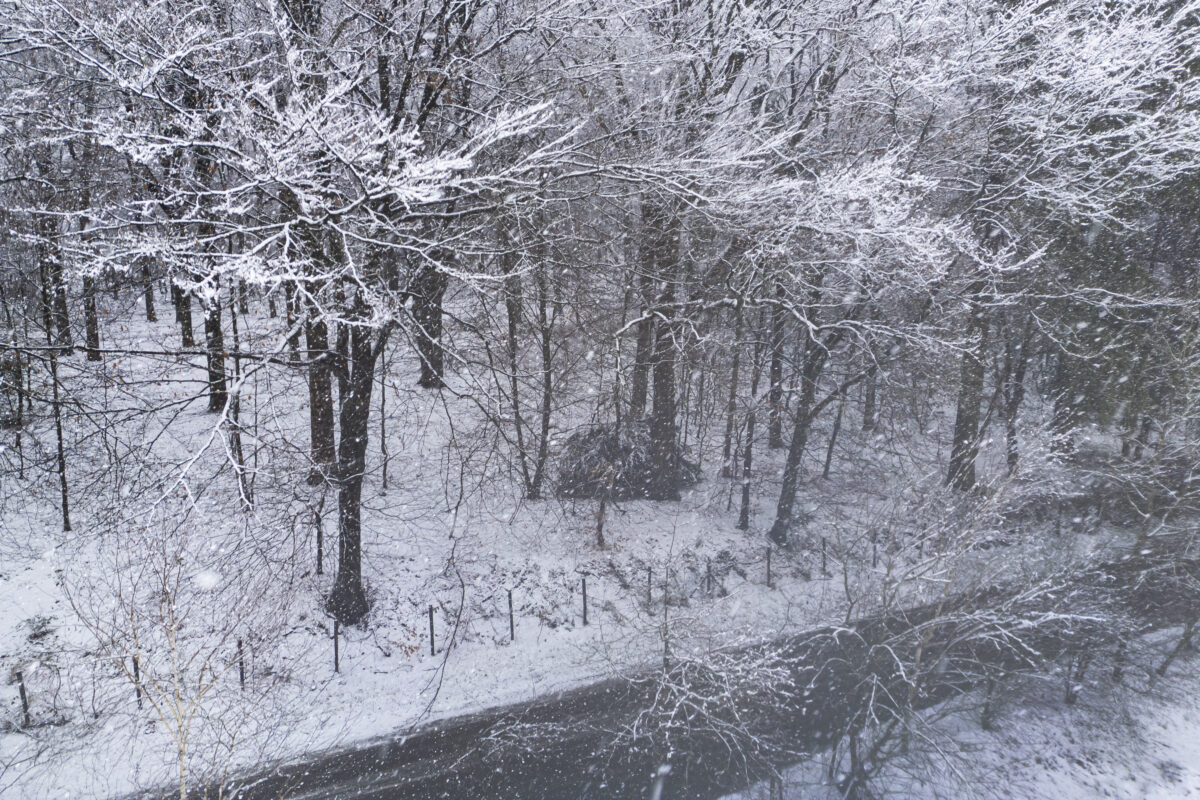 Deze foto is gemaakt tijdens een sneeuwbui met mijn DJI mini 3 pro. Het bos was schitterend wit door eerdere sneeuwbuien. Een sprookjeslandschap was het gevolg. Was is de schepping dan toch mooi!