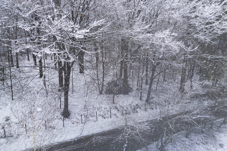 Deze foto is gemaakt tijdens een sneeuwbui met mijn DJI mini 3 pro. Het bos was schitterend wit door eerdere sneeuwbuien. Een sprookjeslandschap was het gevolg. Was is de schepping dan toch mooi!