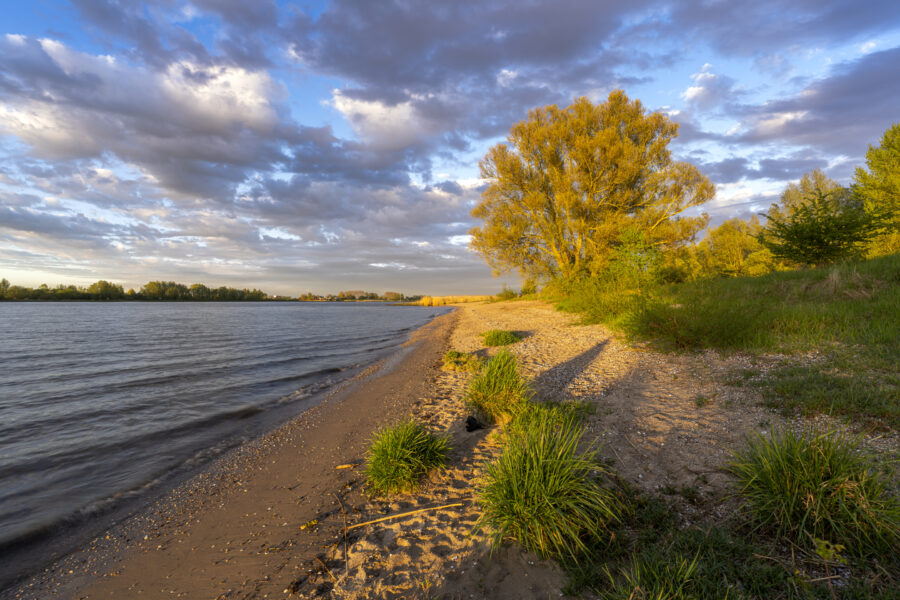 Een mooie zonsondergang aan de rivier nabij Woudrichem (Noord-Brabant, Nederland). Het zonlicht verspreidde haar gouden gloed over de natuur. Golfjes kabbelden aan de oever. Een heerlijk moment zo alleen in dit stukje landschap.